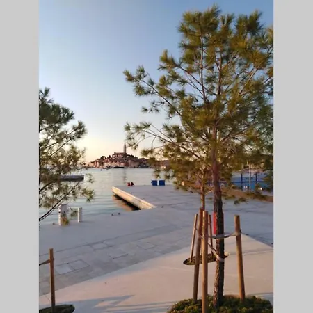 Appartamento Sertic Nenad Rovigno